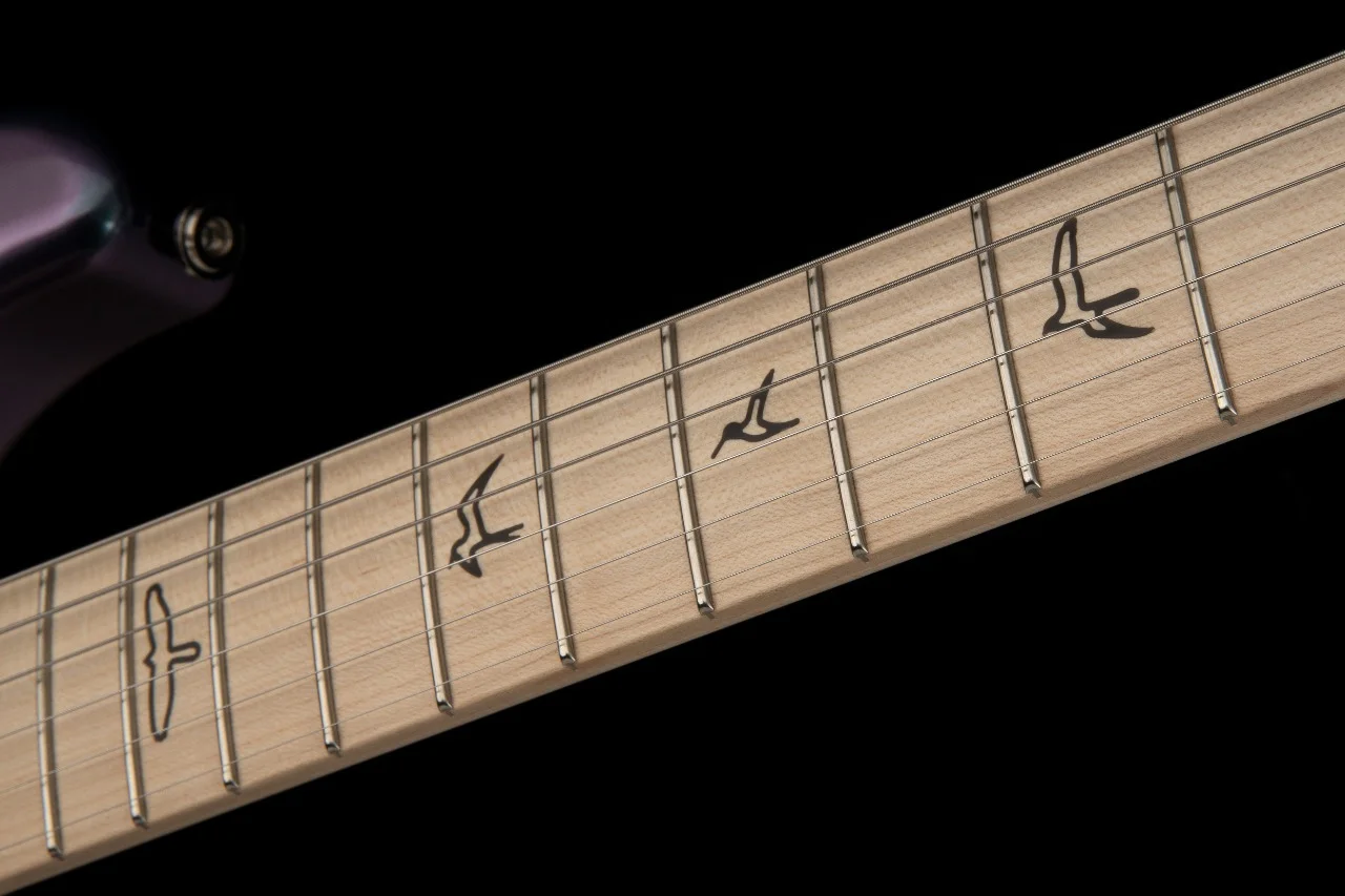 PRS - Paul Reed Smith - Silver Sky - Lunar ICE Limited Edition 1 de 1000 - Imagen 5