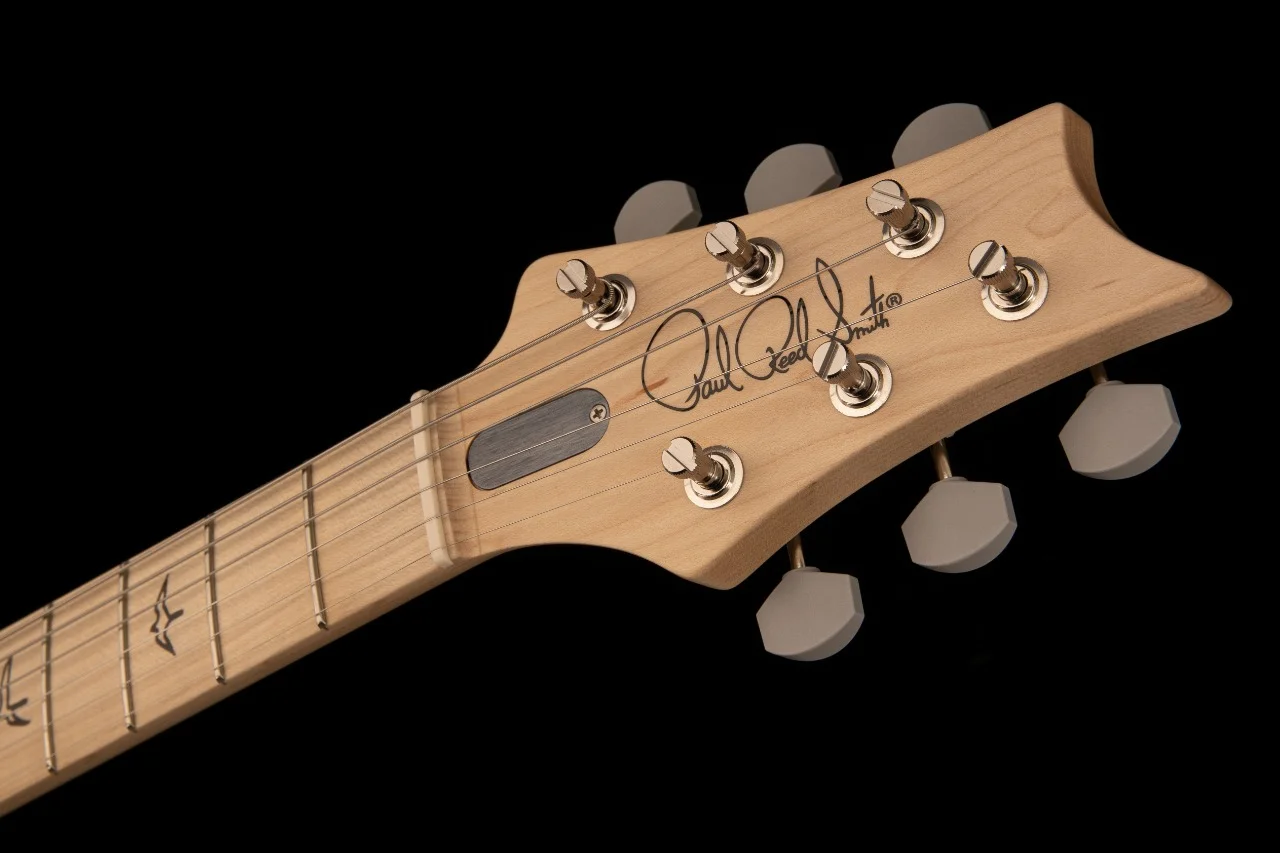 PRS - Paul Reed Smith - Silver Sky - Lunar ICE Limited Edition 1 de 1000 - Imagen 2