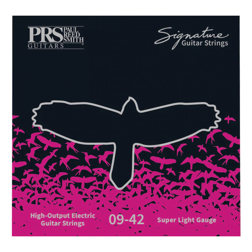 PRS SIGNATURE STRINGS 09 PRS - PAUL REED SMITH - SIGNATURE STRINGS - 09-42 CUERDAS ELÉCTRICA - Image 1