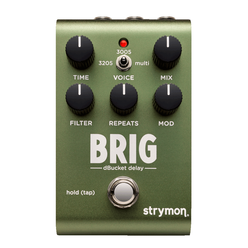 STRYMON BRIGADIER STRYMON - Brigadier – Delay Pedal - Image 1